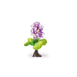 Pontec PondoHyacinth