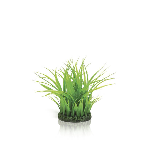 biorb malý trs trávy zelený