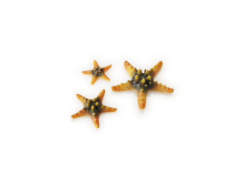biOrb mořské hvězdice set žlutá