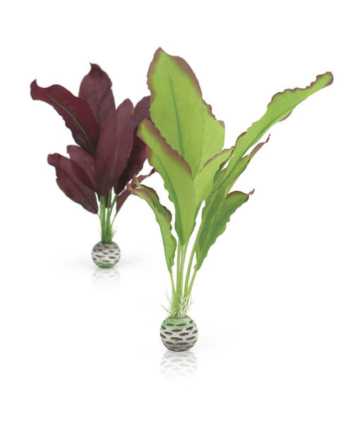 biOrb střední hedvábná rostlina set zelená - fialová