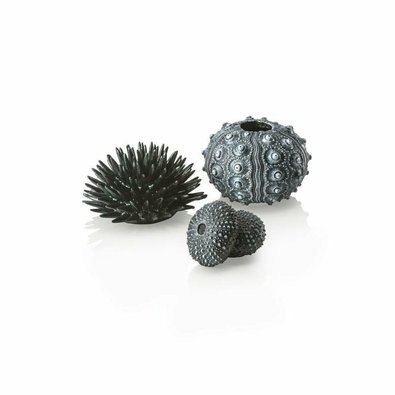 biorb-jezovky-set-cerna.jpg