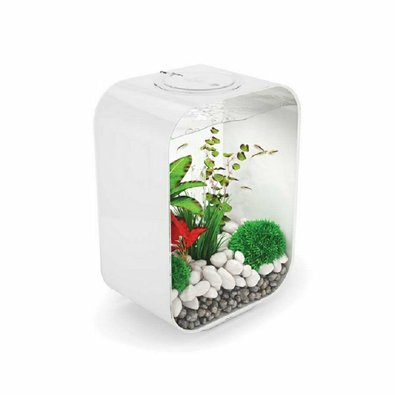 biorb-life-15-bila.jpg