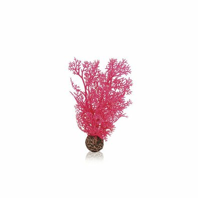 biorb-mala-morska-rostlina-ruzova.jpg