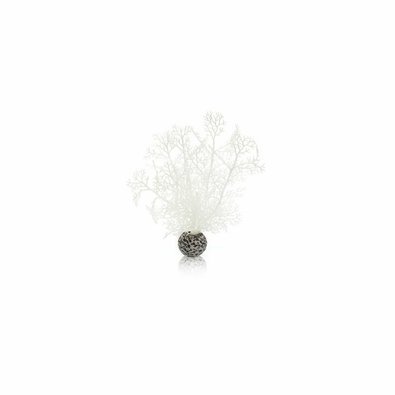 biorb-mala-rostlina-bila.jpg