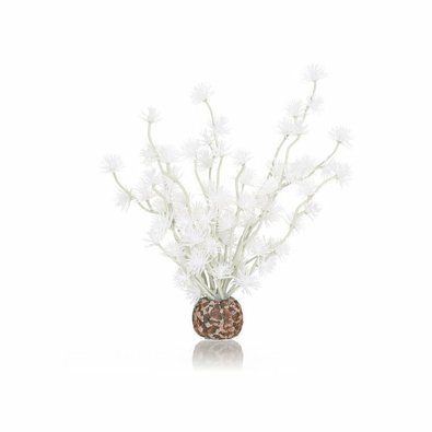 biorb-rostlina-bonsai-bila.jpg