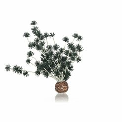 biorb rostlina Bonsai černá