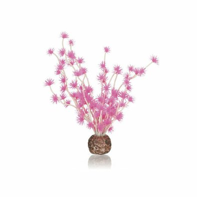 biorb-rostlina-bonsai-ruzova.jpg