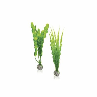 biorb-stredni-set-zelena.jpg