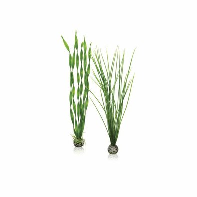 biorb-velky-set-zelena.jpg