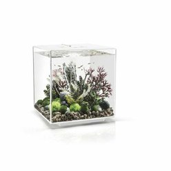 biOrb akvárium CUBE MCR 30 bílá