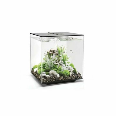 biorb_cube_30_mcr_cerne.jpg