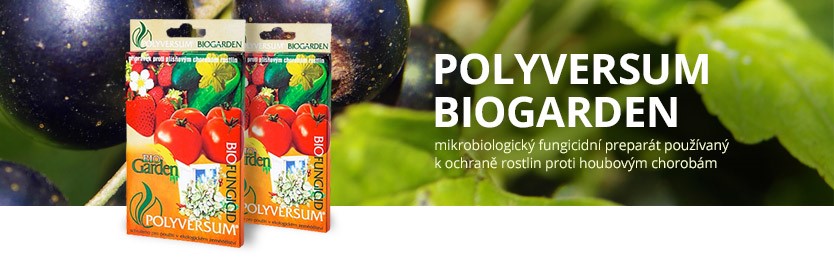 Polyversum